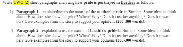 Write TWO (2) short paragraphs analysing how