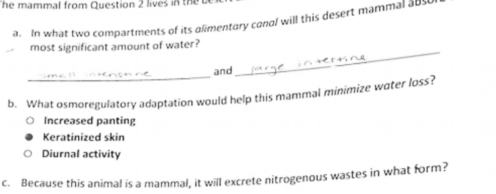 he mammal from Question 2 lives in the a. In what