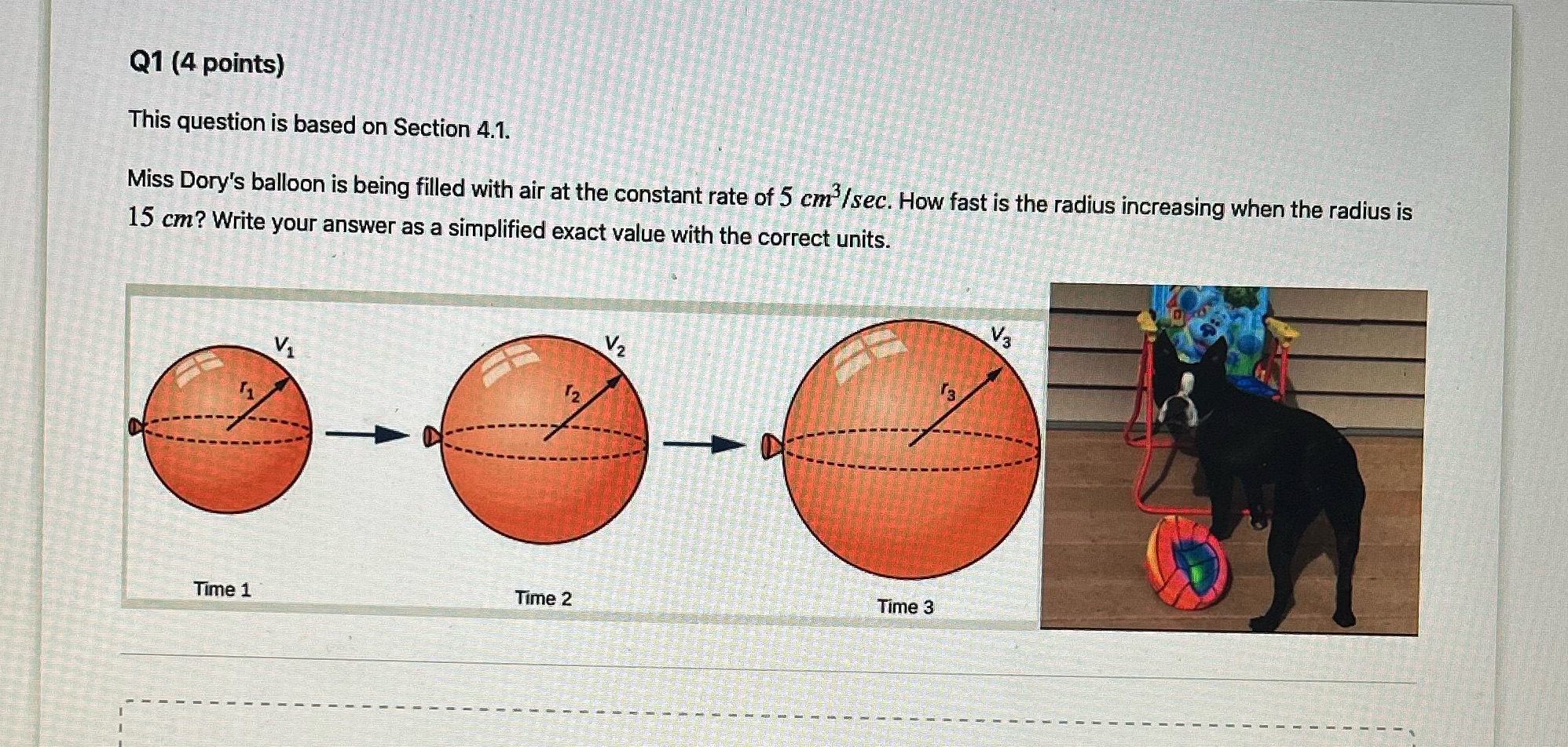 This is a Math 110 Calculus (First year of
