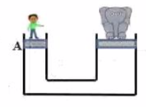 hydraulic lift is used to lift an elephant. The