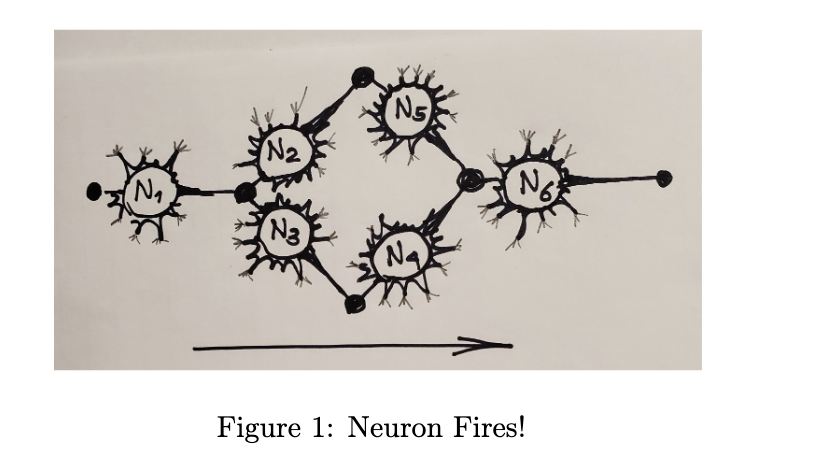 Six neurons N1, N2, ..., N6 are connected as in