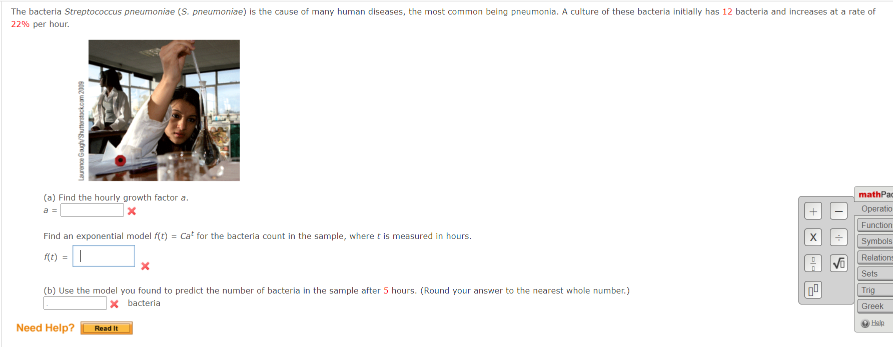 The bacteria Streptococcus pneumoniae (S.
