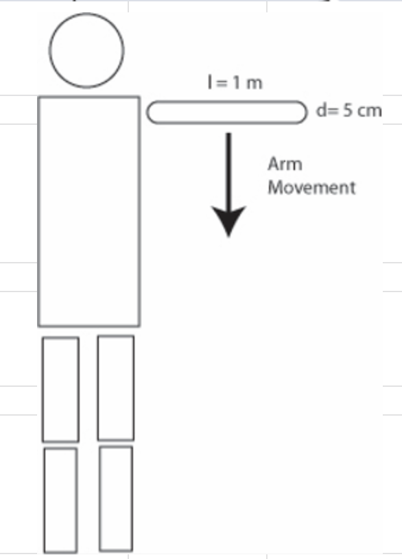 Consider a human arm in its power stroke during
