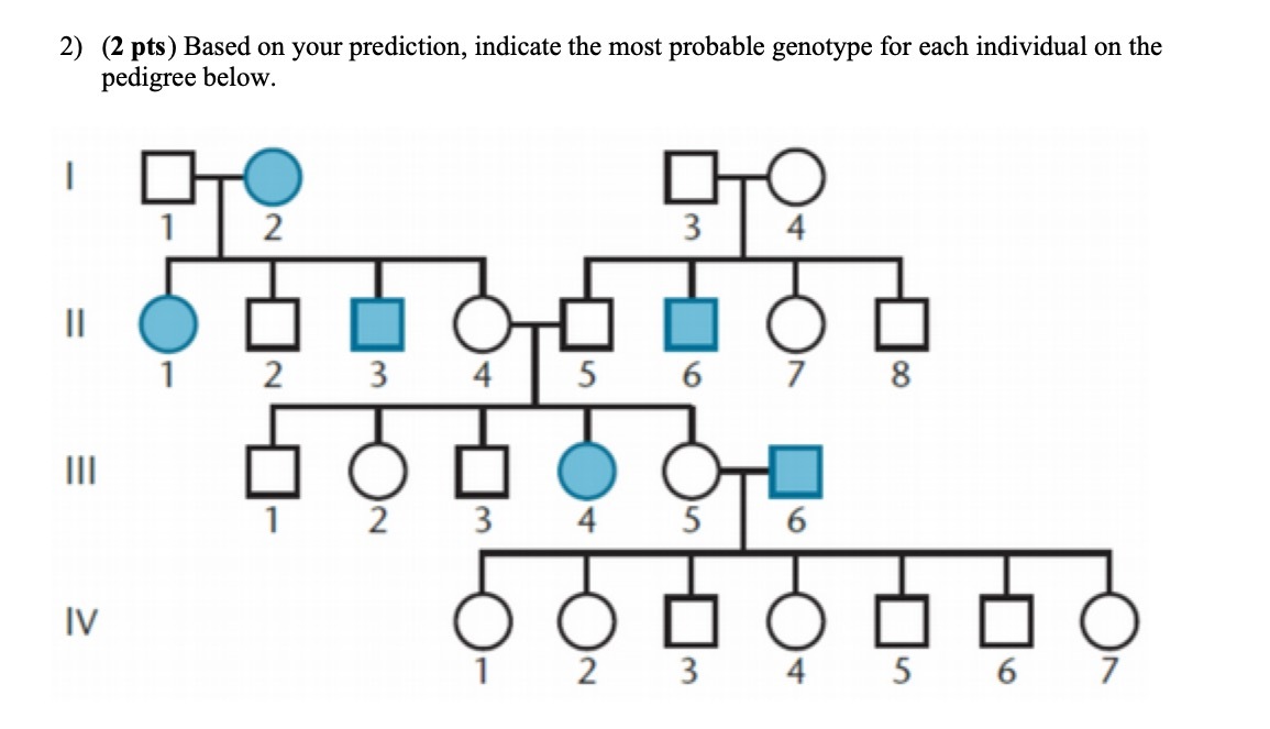 2) (2 pts ) Based on your prediction, indicate