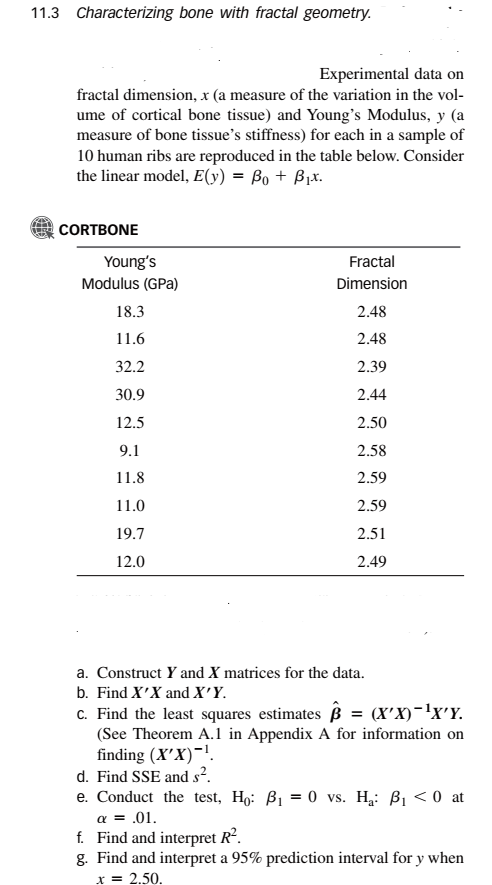 11.3 Characterizing bone with fractal geometry. _