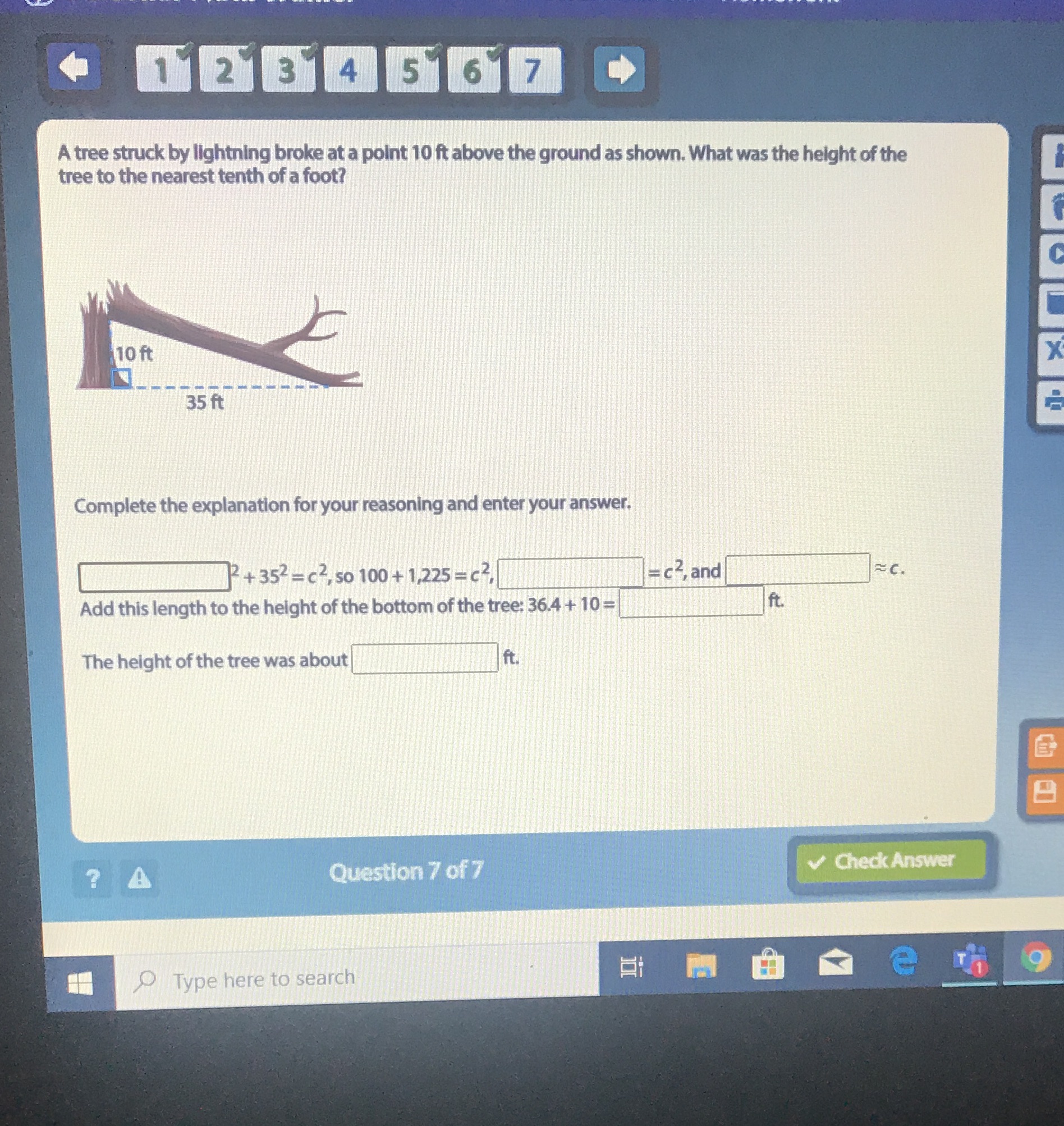 12 3 4 5 6 7 A tree struck by lightning broke at