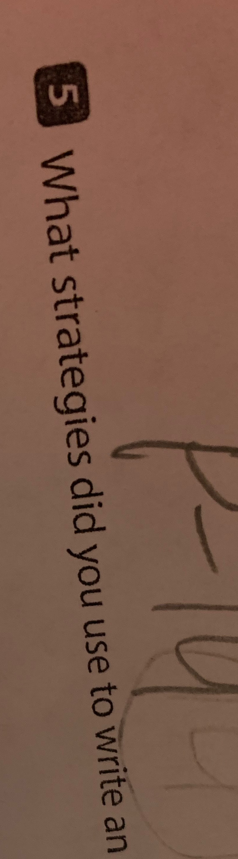 How did I get 20-4-6-3=p I have to say how did I