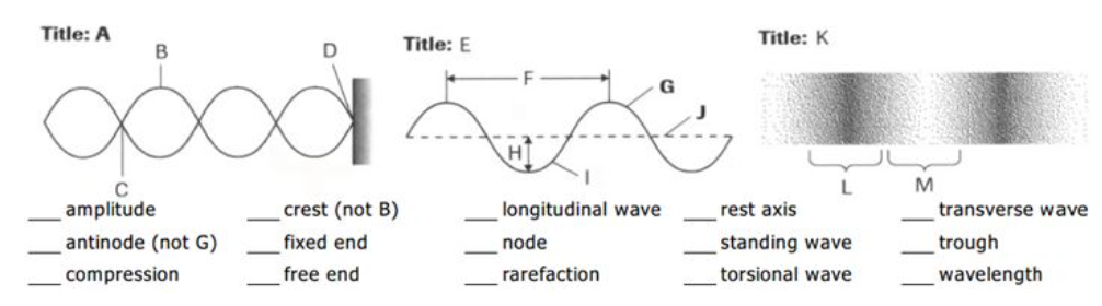Match the lettered components with their correct