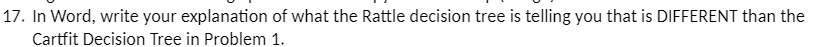 17. In Word, write your explanation of what the