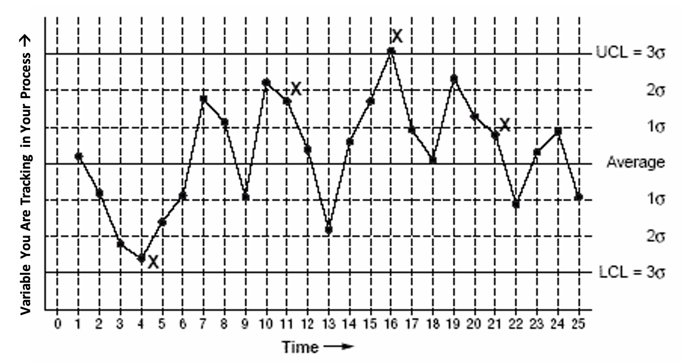 Process Audit Organization Name Process Title