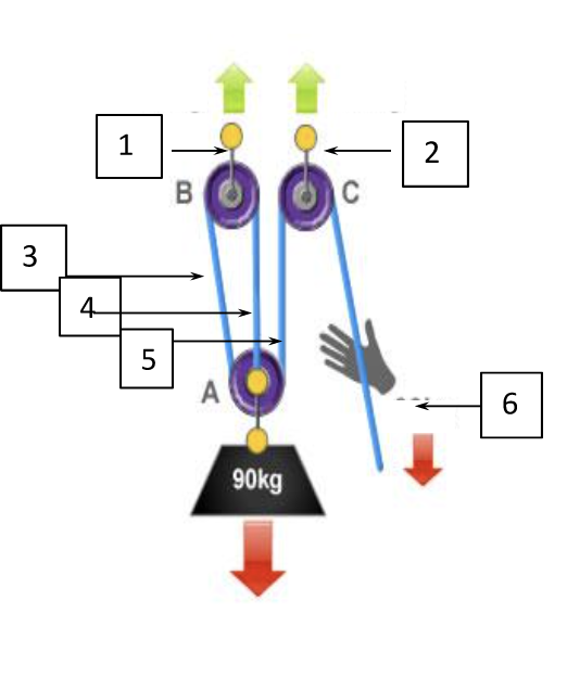 Can you identify the forces in this 3:1 pulley? 1