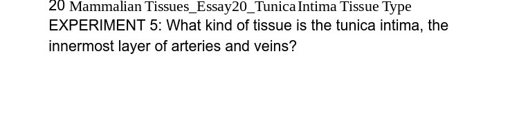 20 Mammalian Tissues_Essay20_Tunica Intima Tissue