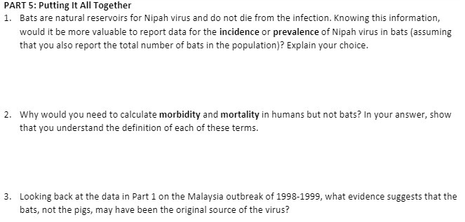 PART 5: Putting It All Together 1. Bats are