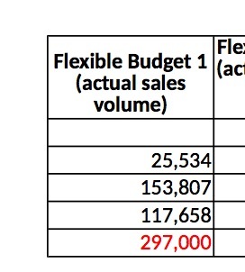 Fle Flexible Budget 1 (ac (actual sales volume)