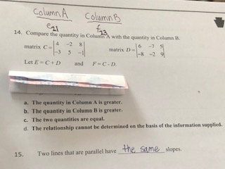 question 21. The math club can buy readymade logo