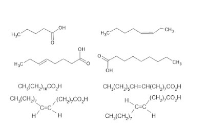OH CH3 H,C H.C OH HJC CH3 OH CH,(CH,),CO,H