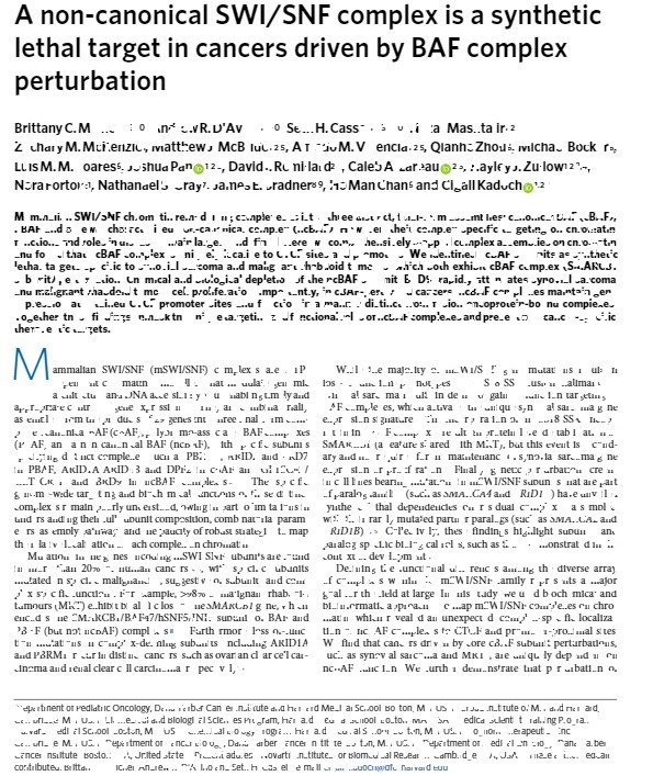 A non-canonical SWI/SNF complex is a synthetic