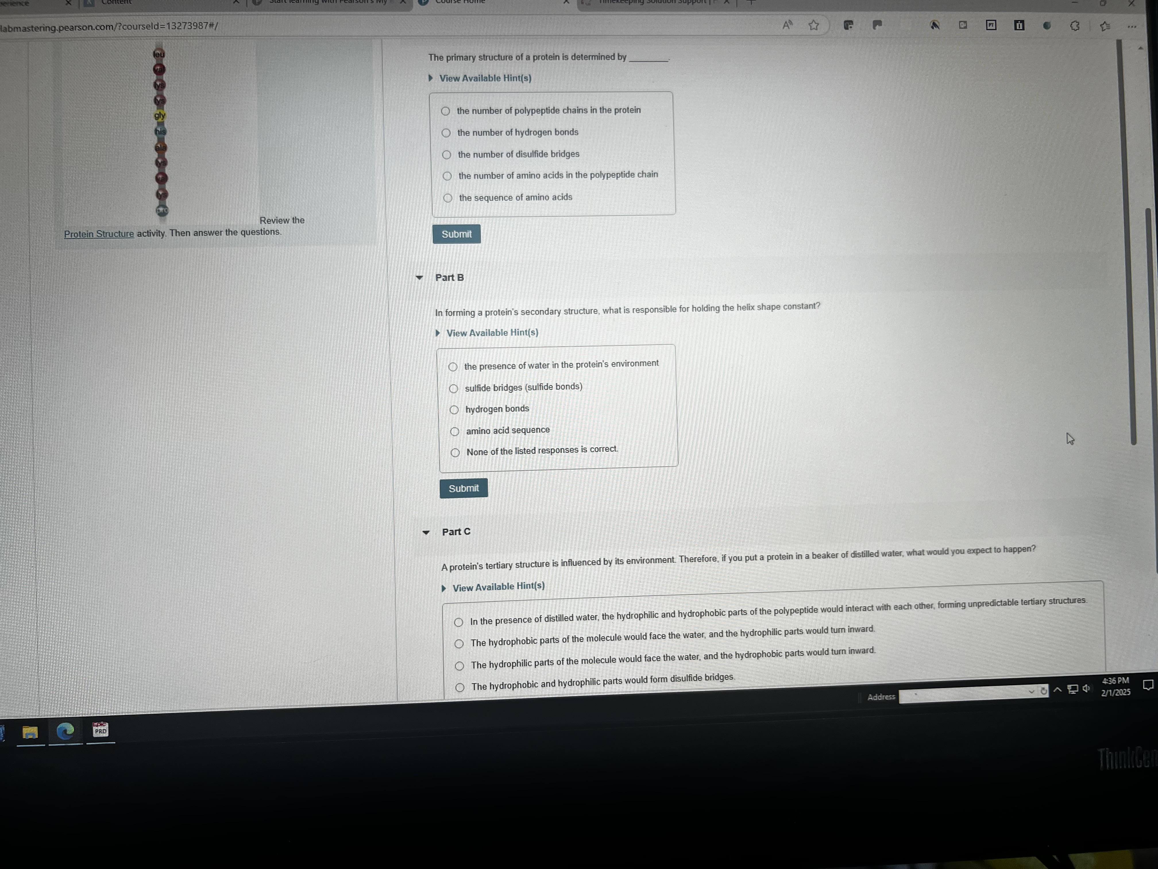 E The primary structure of a protein is