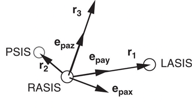 Pelvic obliquity is commonly associated with an