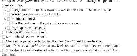 . Group the Newhybrid and Optionz worksheets.