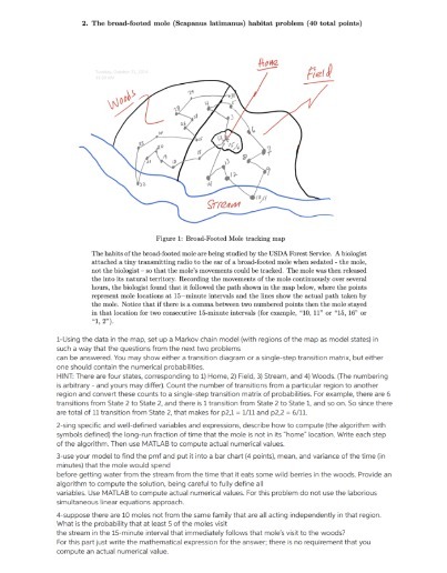 2. The broad-buried mole (Sespamus latimanus)