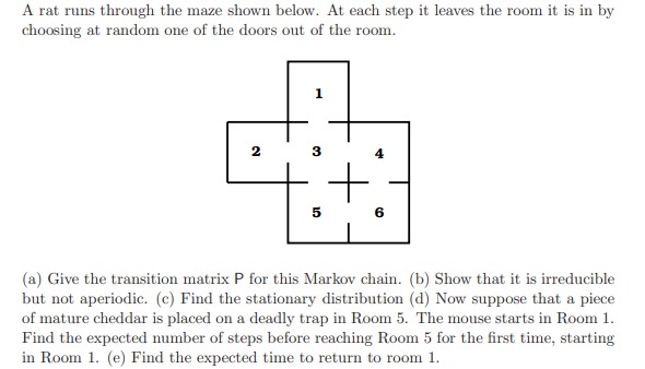 THe answers should be detailed. THank you. A rat