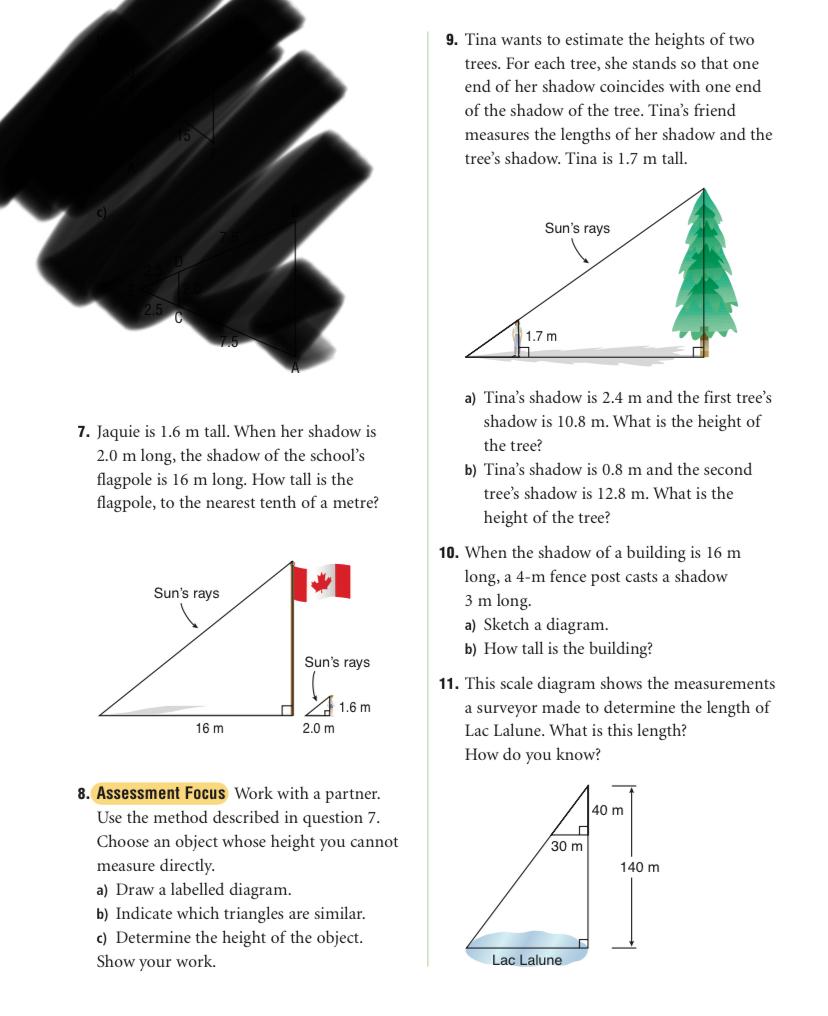 please help with steps 11. Are the polygons in