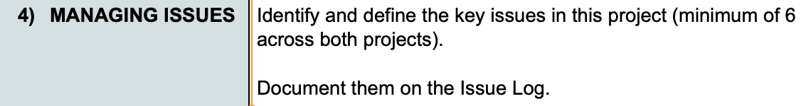 4) MANAGING ISSUES | Identify and define the key