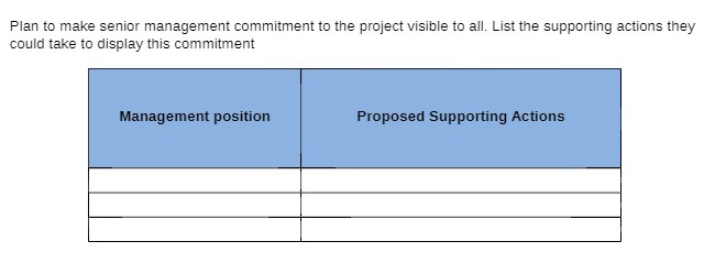 Plan to make senior management commitment to the