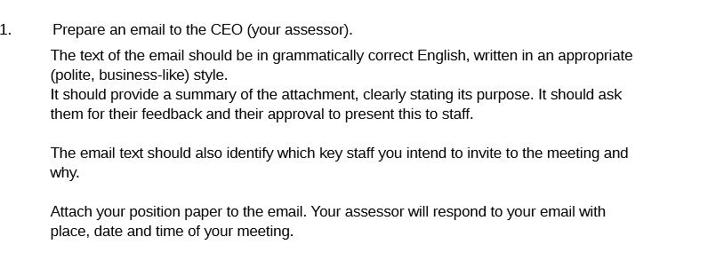 1. Prepare an email to the CEO (your assessor}.