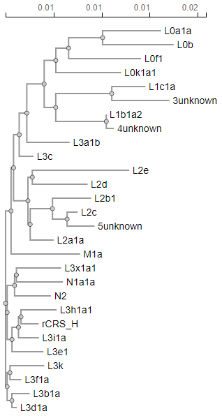 1 . Based on clustering that you see in the tree,