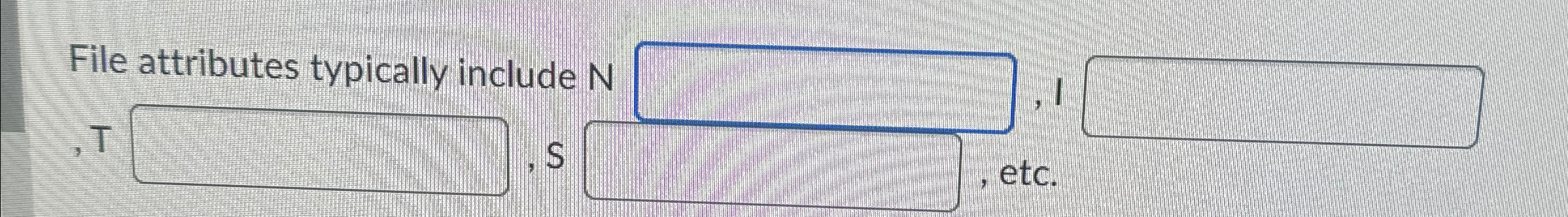 File attributes typically include N , 1 , T , S ,