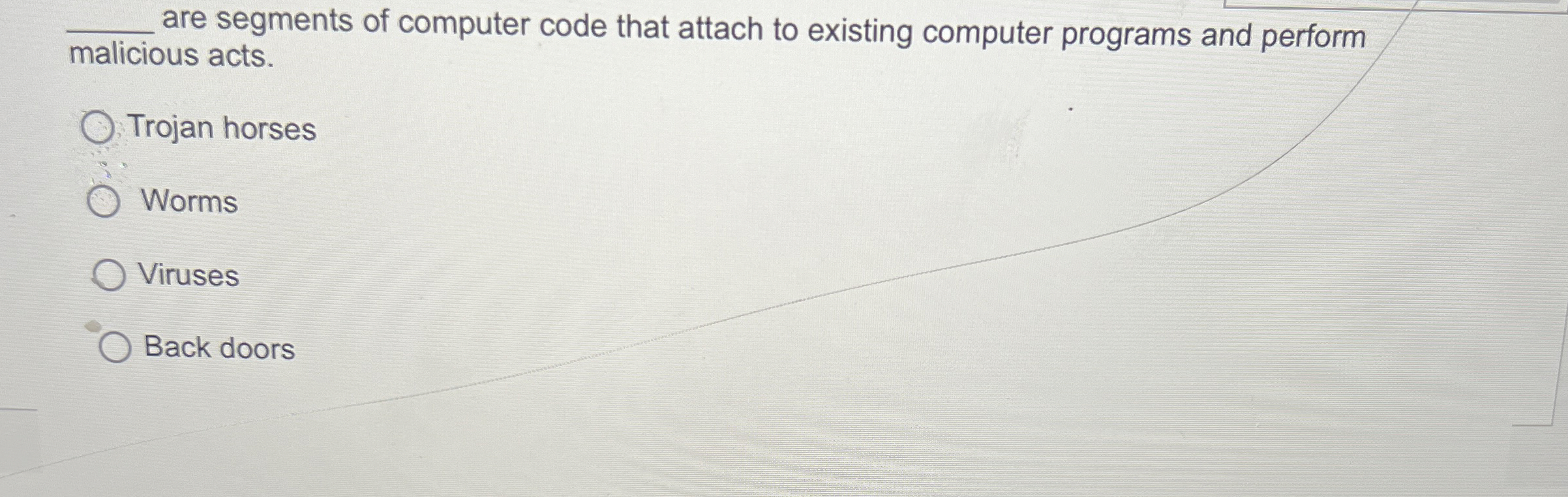 are segments of computer code that attach to