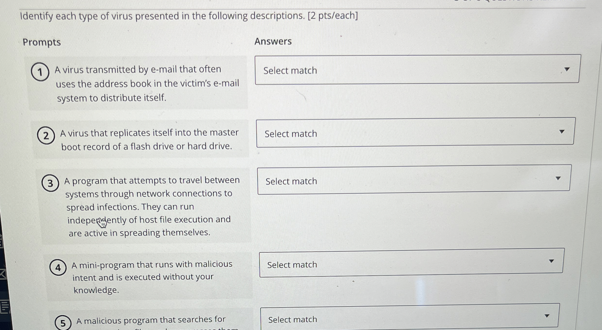 Identify each type of virus presented in the