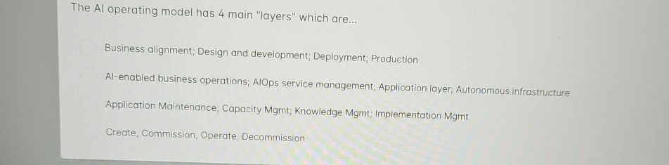 The Al operating model has 4 main "layers" which