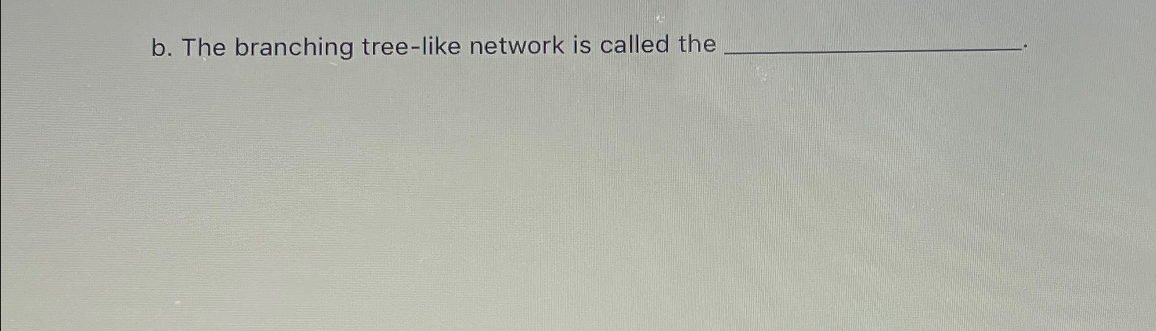 b . The branching tree - like network is called
