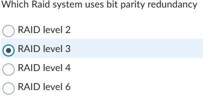 Which Raid system uses bit parity redundancy RAID