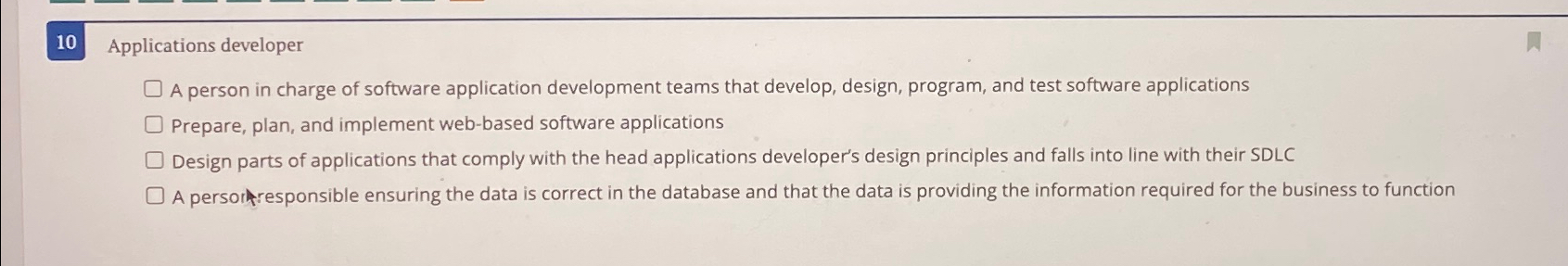 1 0 Applications developer A person in charge of