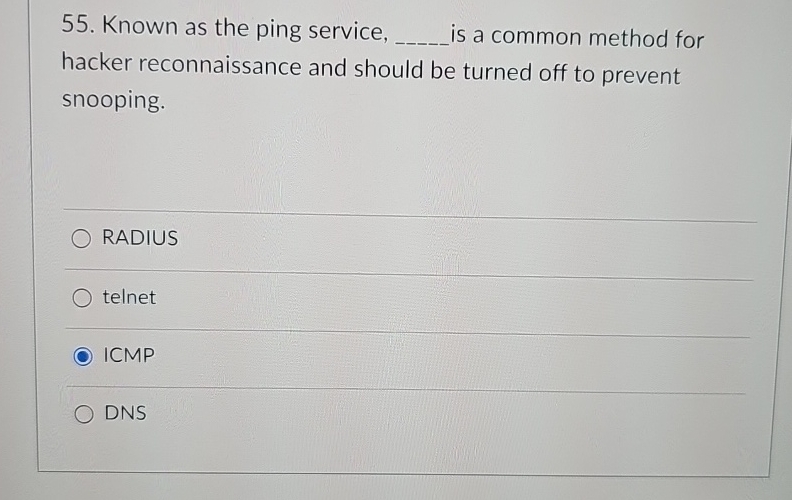 5 5 . Known as the ping service,is a common