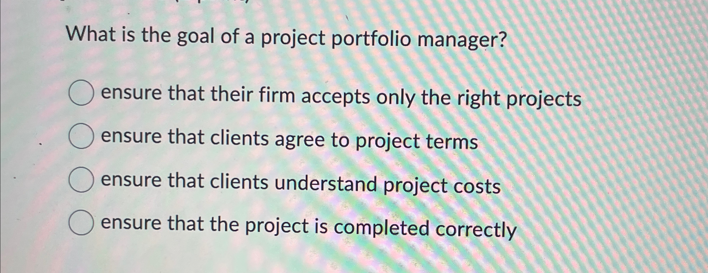 What is the goal of a project portfolio manager?
