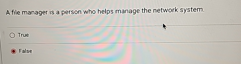 A file manager is a person who helps manage the