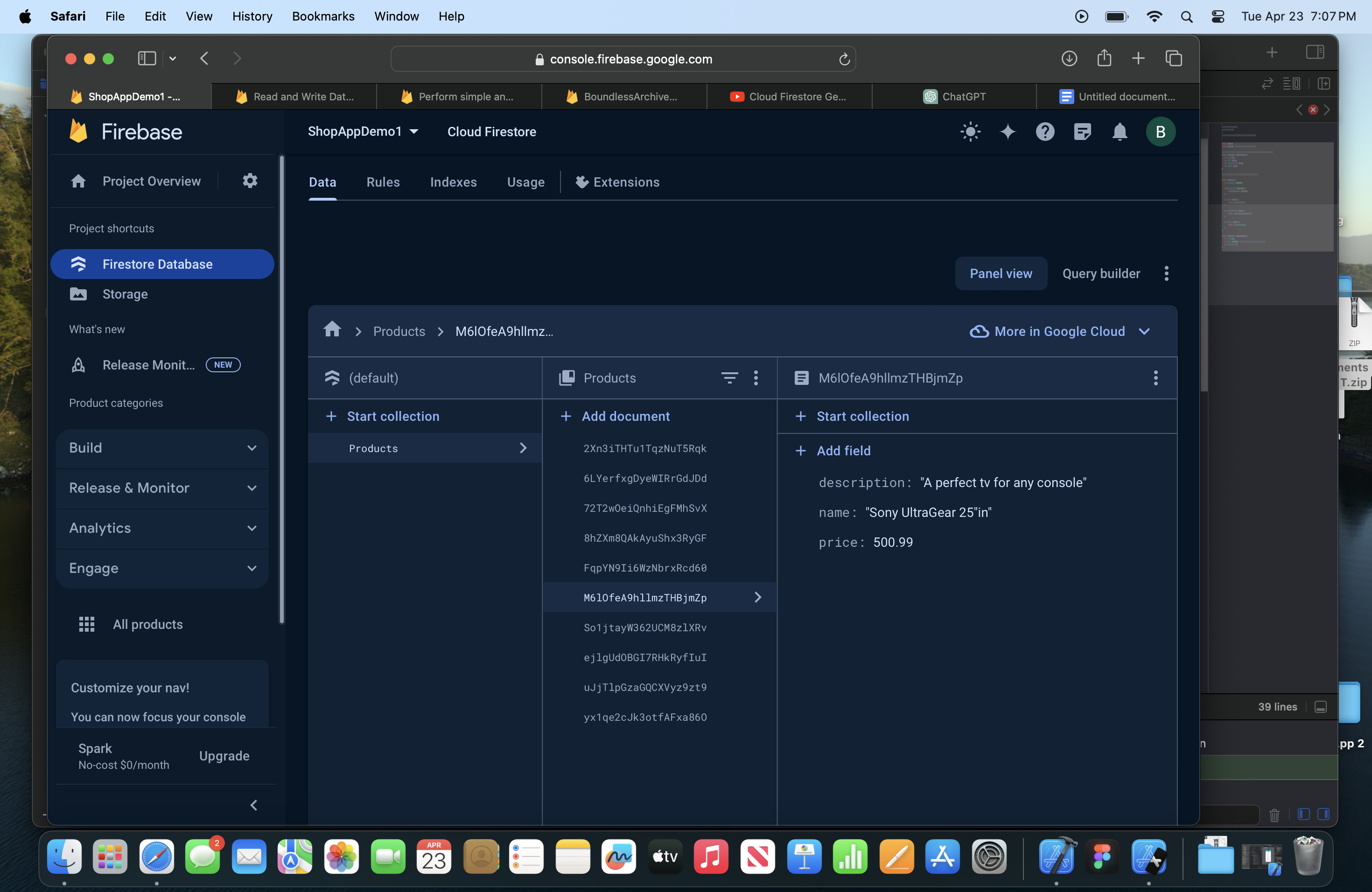 I dont know why my Database in firestore is not