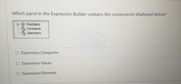 Which panel in the Expression Builder contains