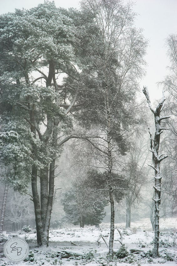 Implement the following tasks in Python Given the