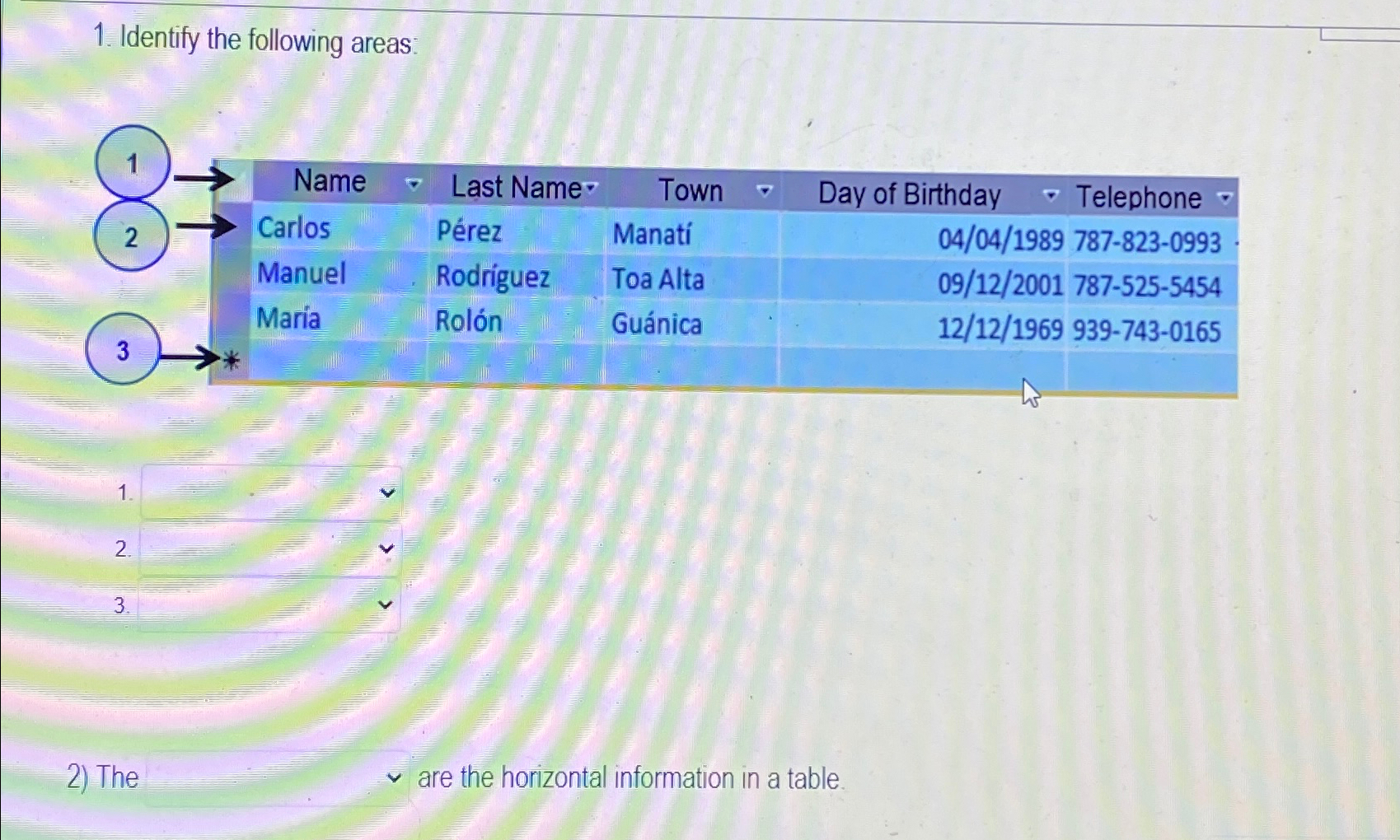 Identify the following areas: The are the