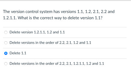 The version control system has versions 1 . 1 , 1