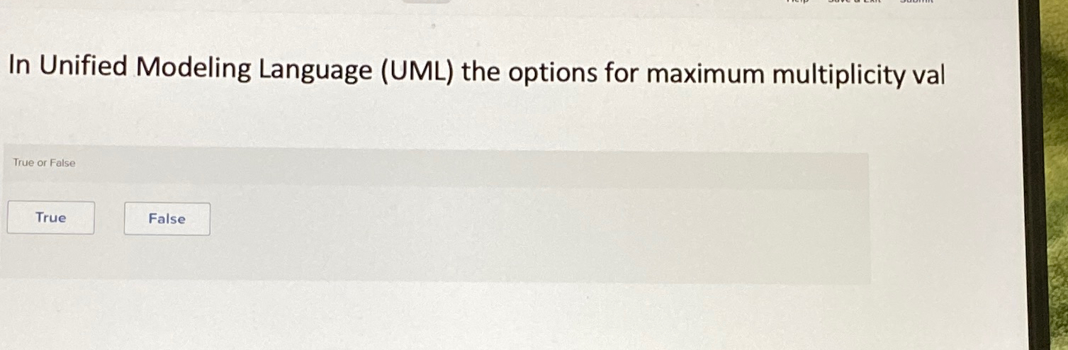In Unified Modeling Language ( UML ) the options