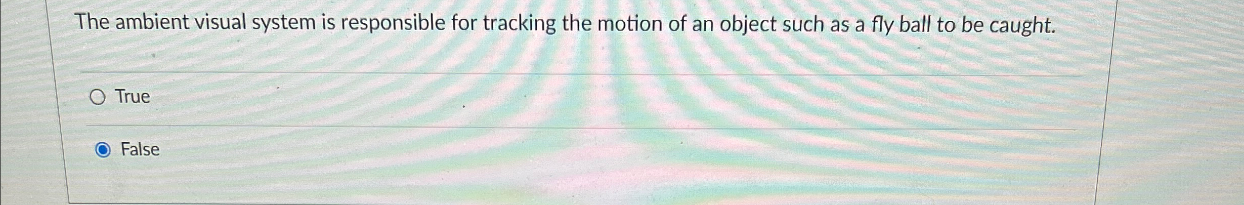 The ambient visual system is responsible for