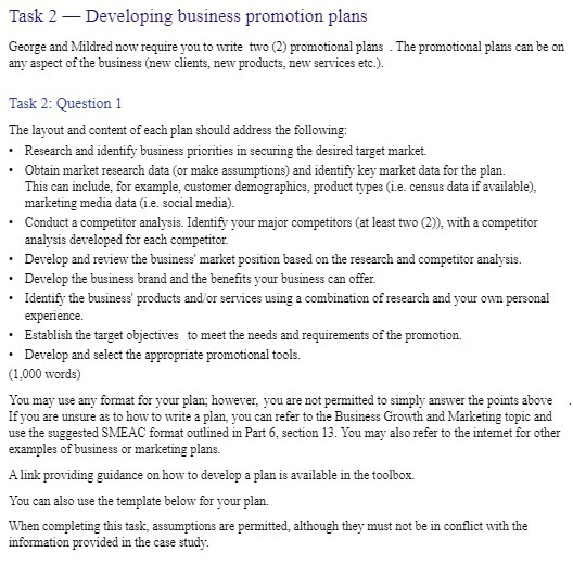 Task 2 - Developing business promotion plans