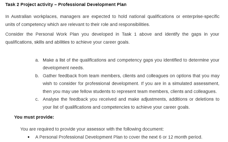 Task 2 Project activity - Professional